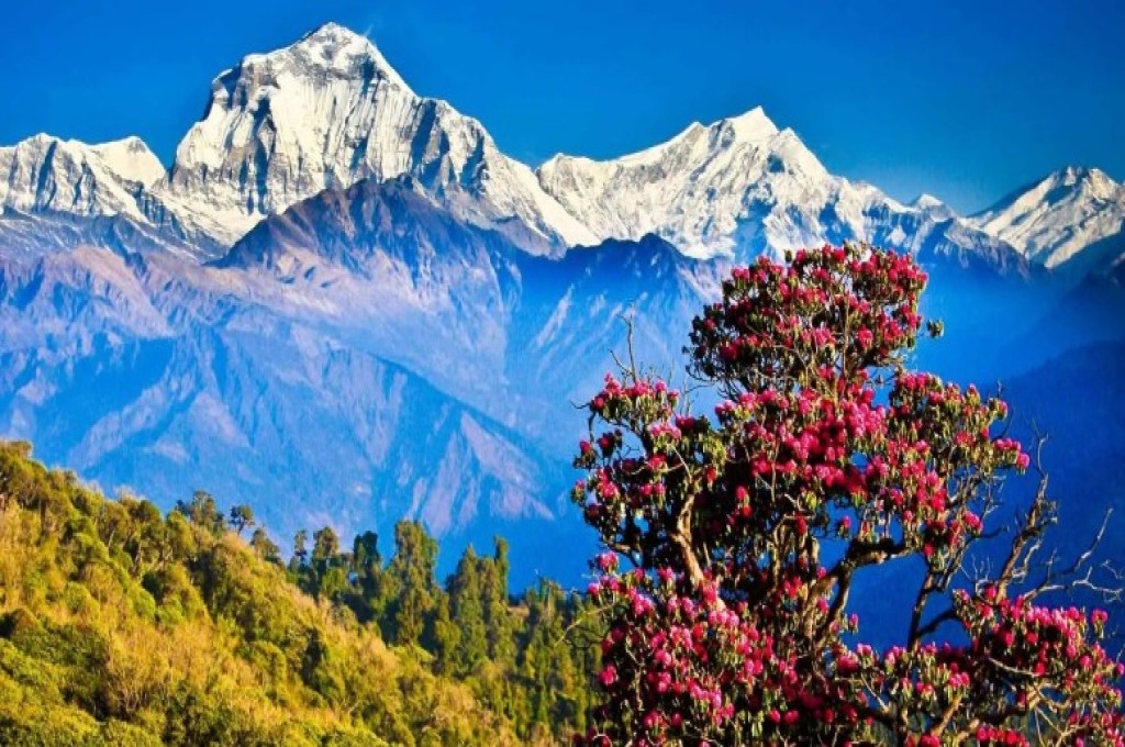 Nepal